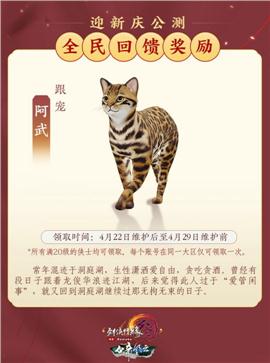 大唐天龙八部3私服